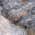 At Winter's Water's Edge