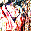 Winter Grief